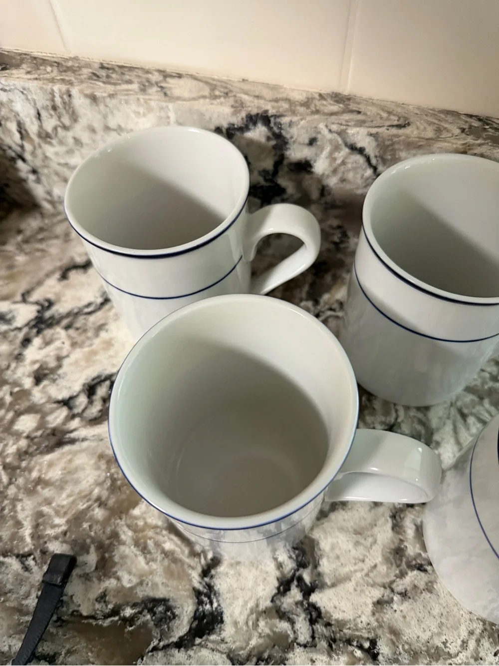 Set of 4 Crate & Barrel Catalina Mugs